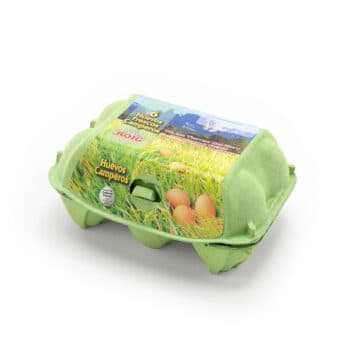 Huevos camperos (2/2)